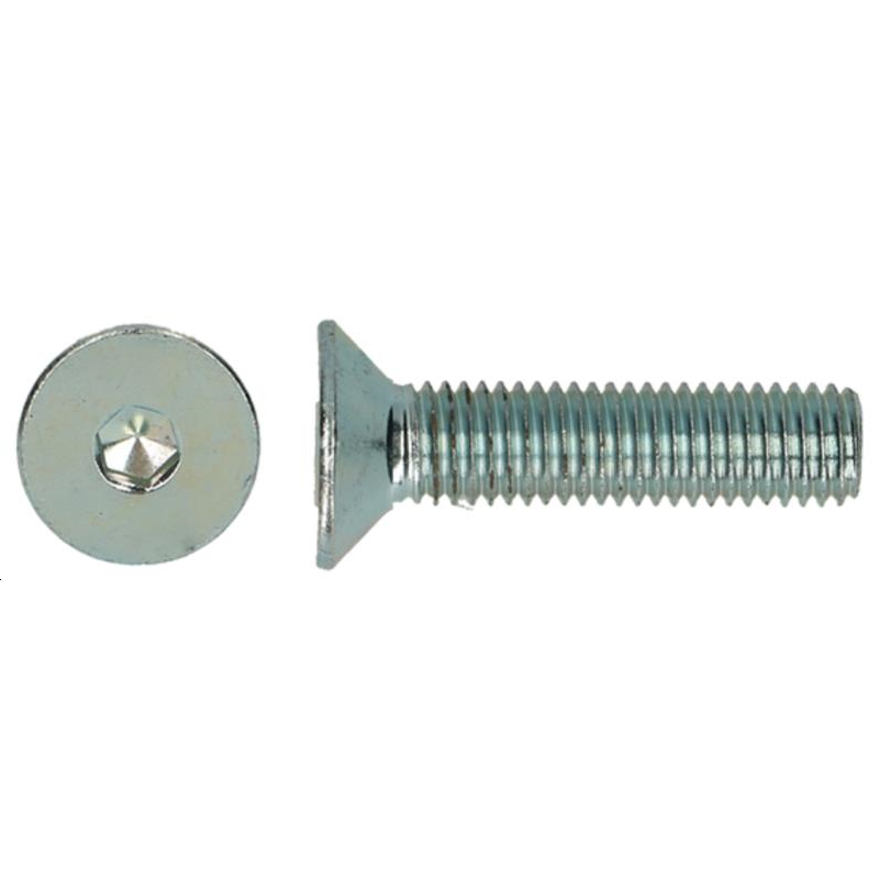 VIS FHC10.9 M4X20 ZN/11PC