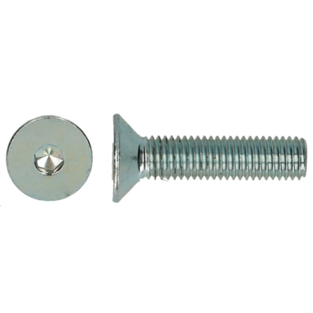VIS FHC10.9 M4X20 ZN/11PC
