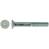 VIS FHC 10.9 M4X50 ZN/7PC