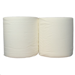 OUATE BLANCHE MICRO GAUFREE COLLE 2PLIS 23X25 LOT DE 2